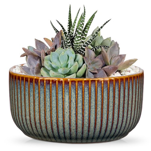 Indoor Ceramic Plant Pot 6" with Drainage Hole