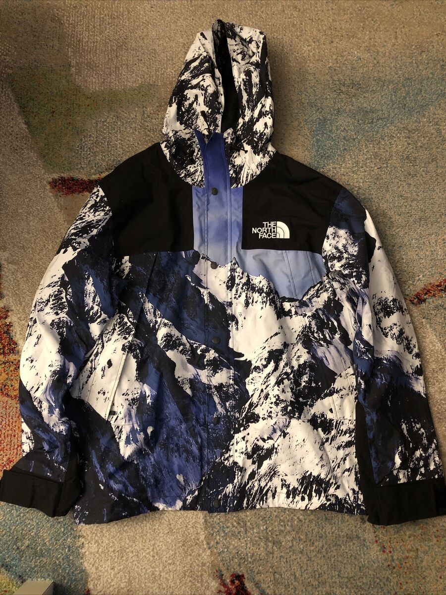 Suprem The North Face Mountain Parka雪山 S