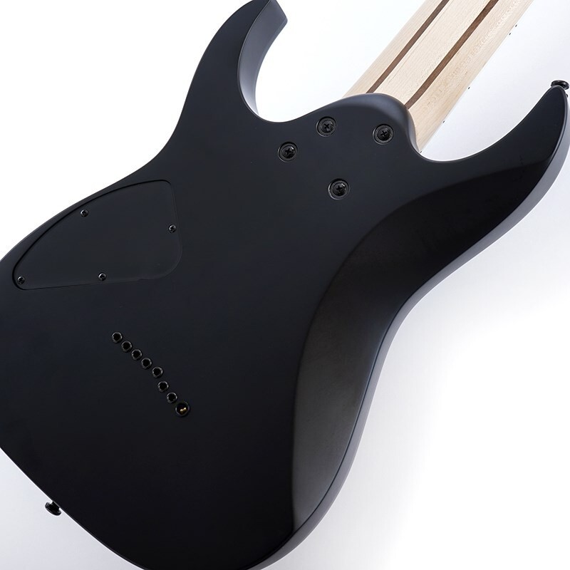 Ibanez RG8EX-BKF (Black Flat) 8 string Electric guitar limited
