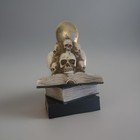 Halloween Decor Skelton Heads With Spell Books Lights Up — photo 2