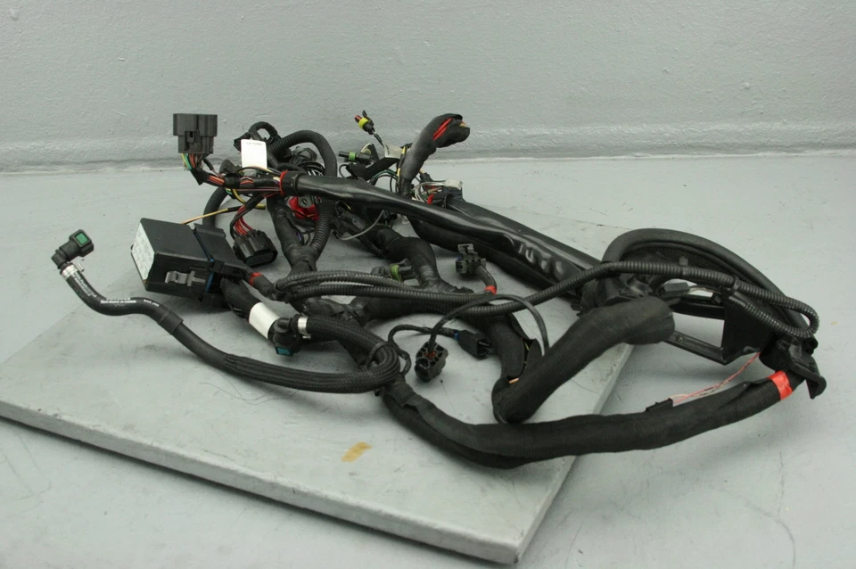 Arnés de cableado principal Victory Cross Roads 2011 2411520 video #4087 Foto 3 de 4