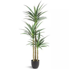 Artificial 5.3 Ft. Agave Tree in Plastic Pot ...