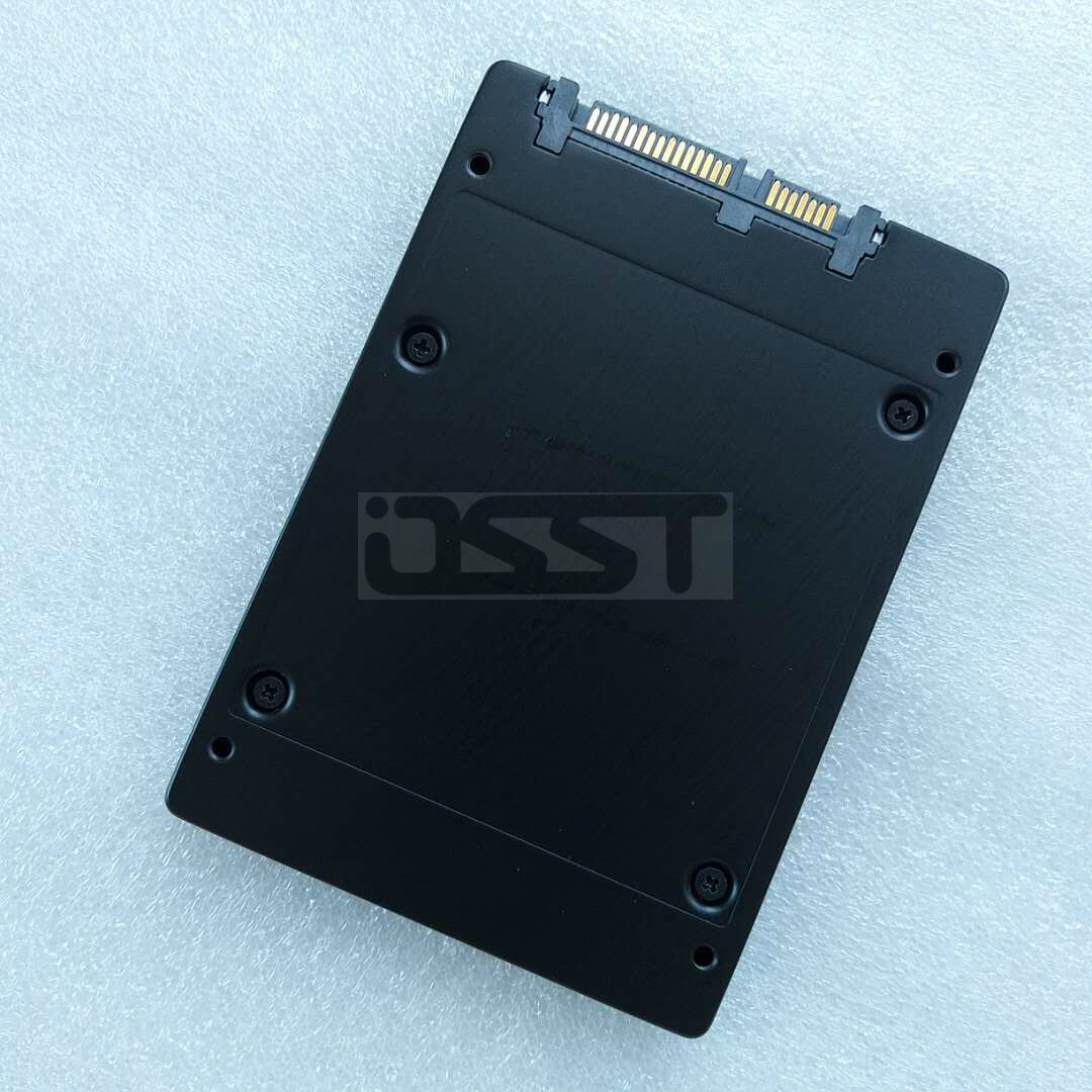 SanDisk X300s 2.5