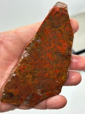 Mexican Red Moss Agate Slab Lapidary Cabbing Combo Ship Avail