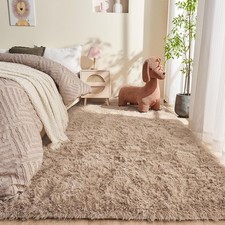 5x7 Beige Rugs for Bedroom, Ultra-Soft Fluffy Area Rugs for Living Room, 5 x 7