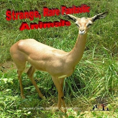 Strange Rare Fantastic Animals by Beth Pait (English) Paperback Book