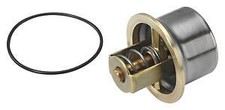 Engine Coolant Thermostat Wahler 4621.80 D Engine Coolant Thermostat Wahler 4621.80 D