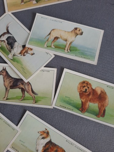 Wills Dogs 1937 - VG Condition - Picture 3 of 6
