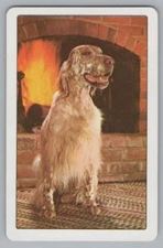 Q) ONE Single Swap Playing Card Artistic Dog Canine Vintage King Of Spades
