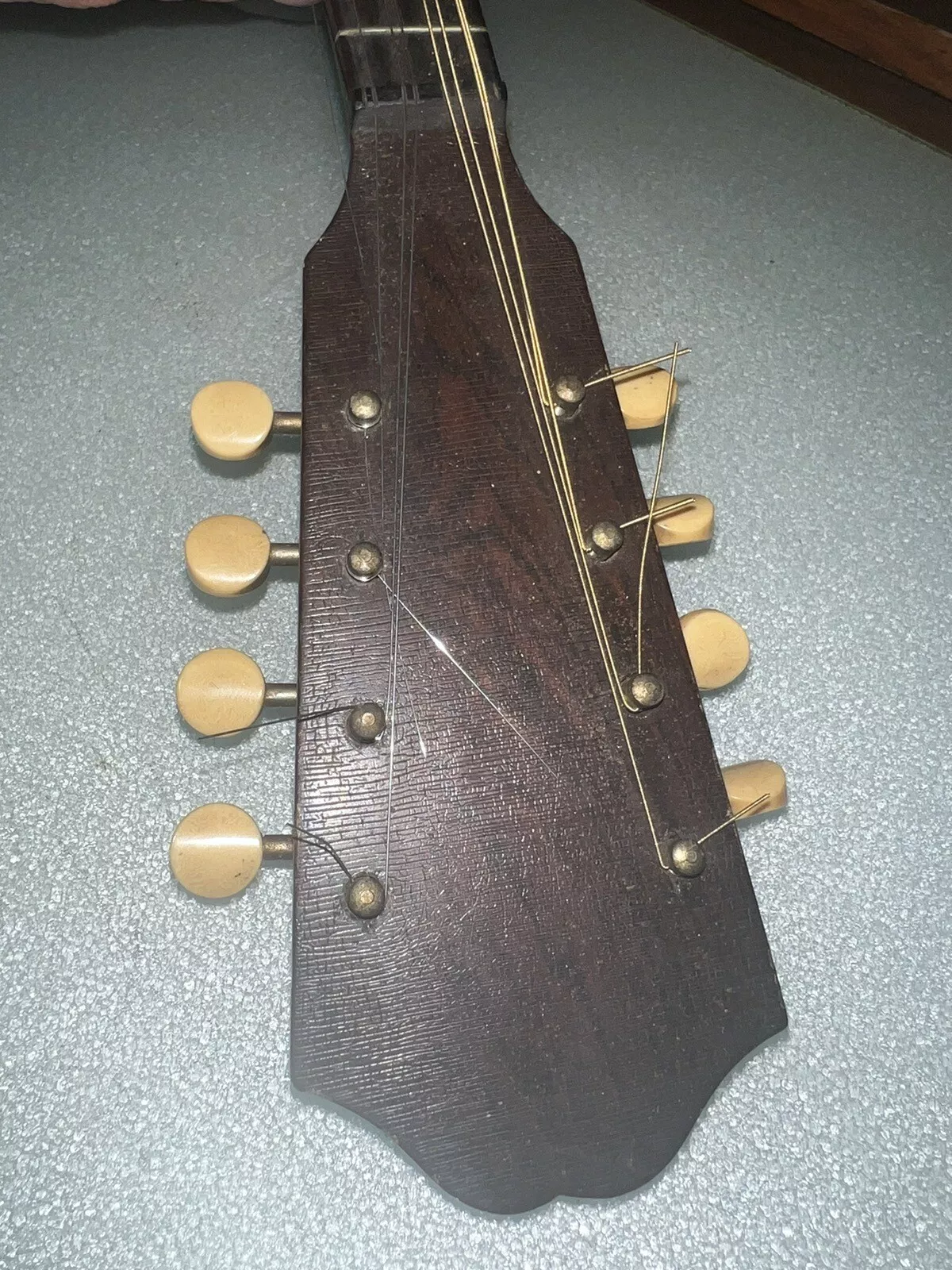 Picture 5 of 20