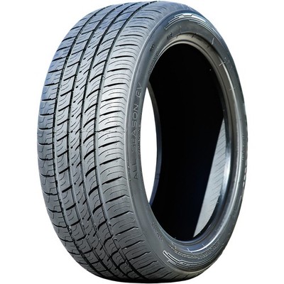 Tire 255/45R19 104W XL Radar All Season EV AS A/S High Performance