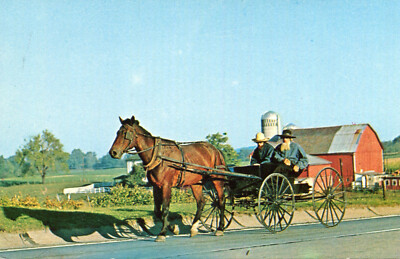 VEREINIGTE STAATEN Amish Männer Reisen Offener Buggy Viele Familien Western Pennsylvania 