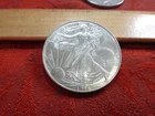 1996 United States American Silver Eagle 1 Oz 0.999 Silver Coin Lot B