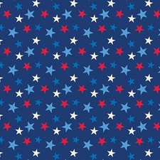 BENARTEX  15201-56"CELEBRATE THE USA" FIREWORKS ON NAVY BLUE BACKGROUND BTY