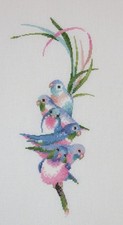 Finished Completed Cross Stitch Heritage Stitchcraft Tropical Rainbow Birds