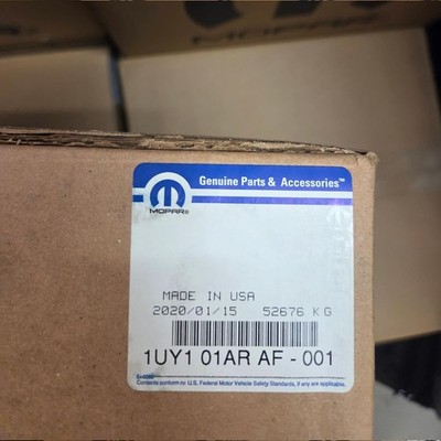 Genuine OEM 2015-2017 Chrysler 200 Passenger Side Mirror Right 1UY101ARAF