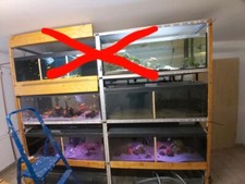 Aqarium Zuchtanlage