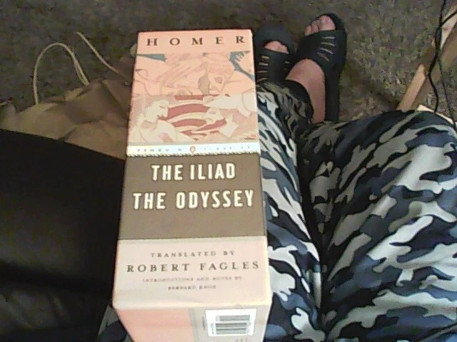 Book Set; The Iliad and The Odyssey by Homer Translated by Bernard Knox Foto 2 de 4