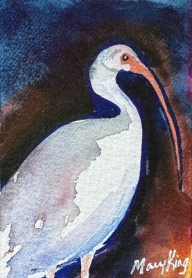 Original Watercolor Painting ACEO 2.5'' x 3.5''  by Mary King - Ibis