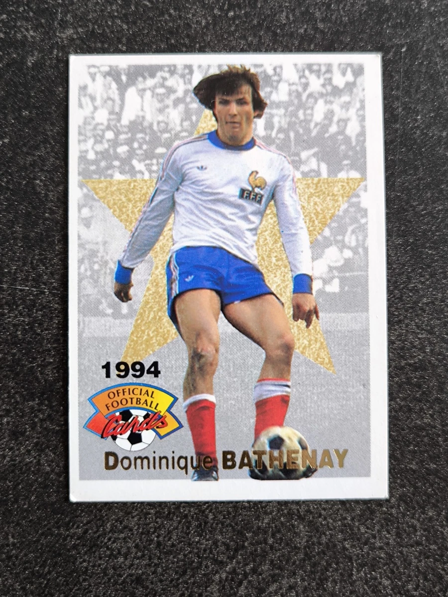 LOT DE 53 IMAGES CARTE PANINI OFFICIAL FOOTBALL 93 zero double EUR 55