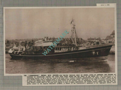 The LAMMERMUIR Ship Trawler Trials Doxford Engine Lewis Aberdeen - 1950 Clipping