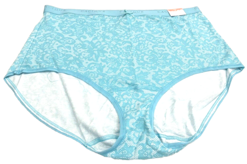 NWT Lane Bryant Aqua Blue and White High Waist Cotton Brief Panties in 18 20 1X - Picture 1 of 8
