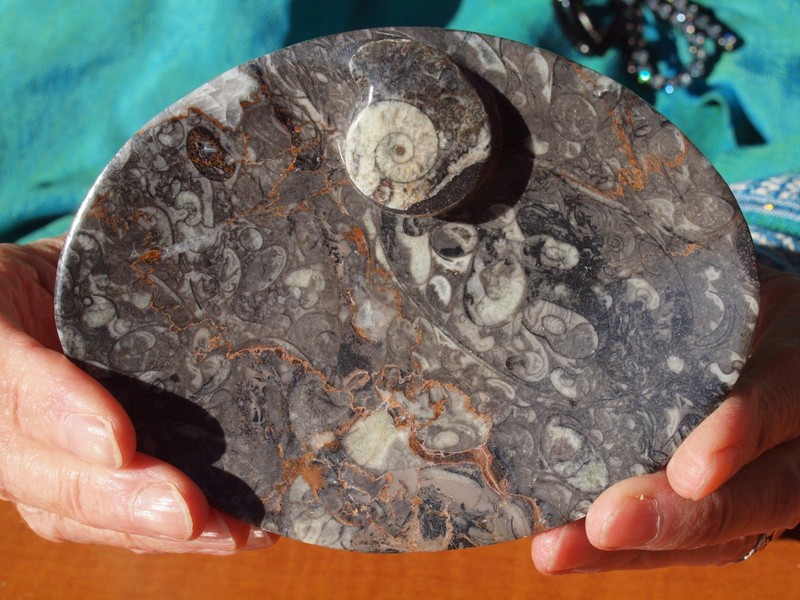 Hand Carved Fossil Ashtray  w Orthoceras and Ammonite Fossil 400 Mil Yrs.
