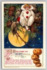 Vintage Winsch Halloween Postcard Pierrot Clown Owls Pumpkin Design