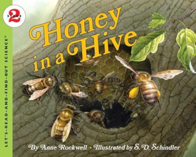 Honey in a Hive (Let's-Read-And-Find-Out Science: Stage - Paperback NEW Rockwell