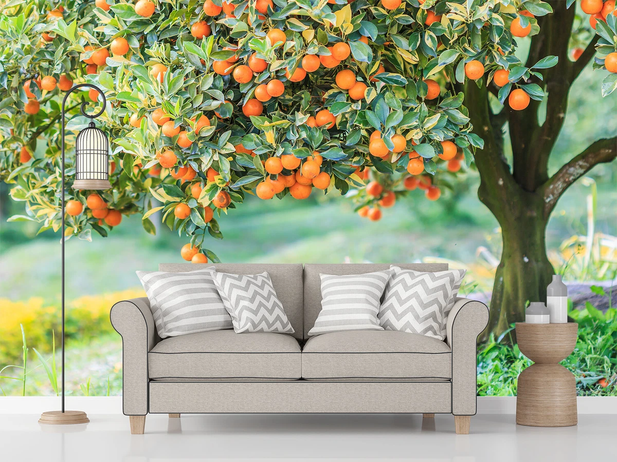 Wallpaper for best sale home wall decoration