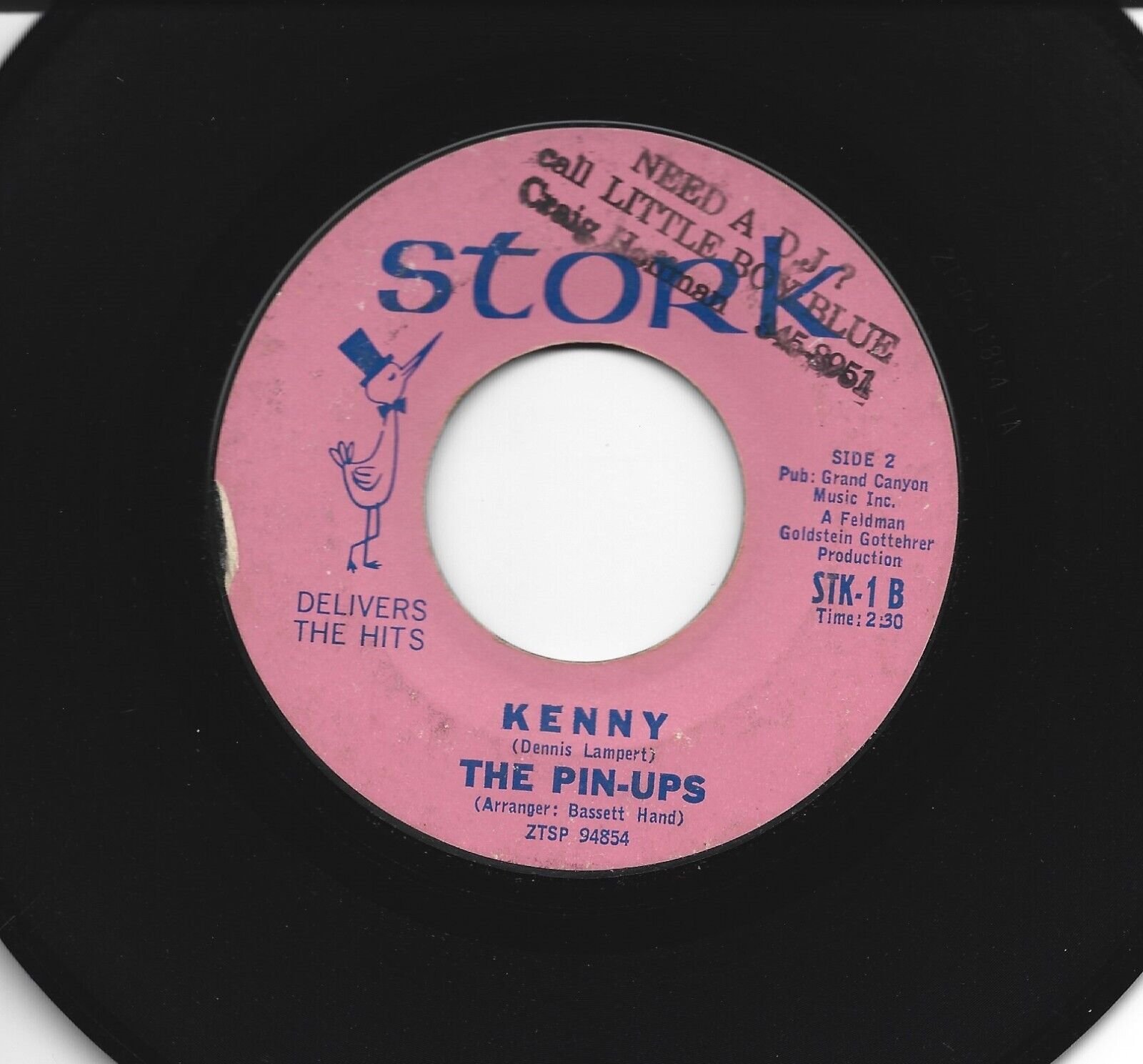 TEEN DOOWOP GIRL GROUP 45- PIN-UPS - KENNY  /  LOOKING FOR BOYS -HEAR 1964 STORK