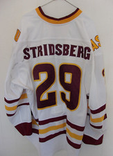 ARIZONA STATE Jakob Stridesberg game-worn #29 hockey jersey (2016-17)+ nameplate