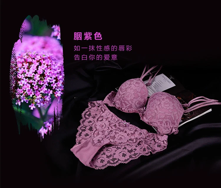 Women's Embroidery Bras Set Lace Lingerie Bra and Panties All Colors 32-38 A B C - Image 2 of 4