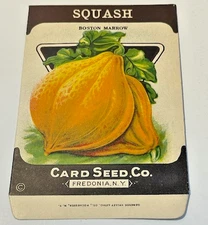 2627 ~ 1930’s Vintage Boston Marrow Squash ~ Card Seed Co - Fredonia N.Y. ~ NOS!