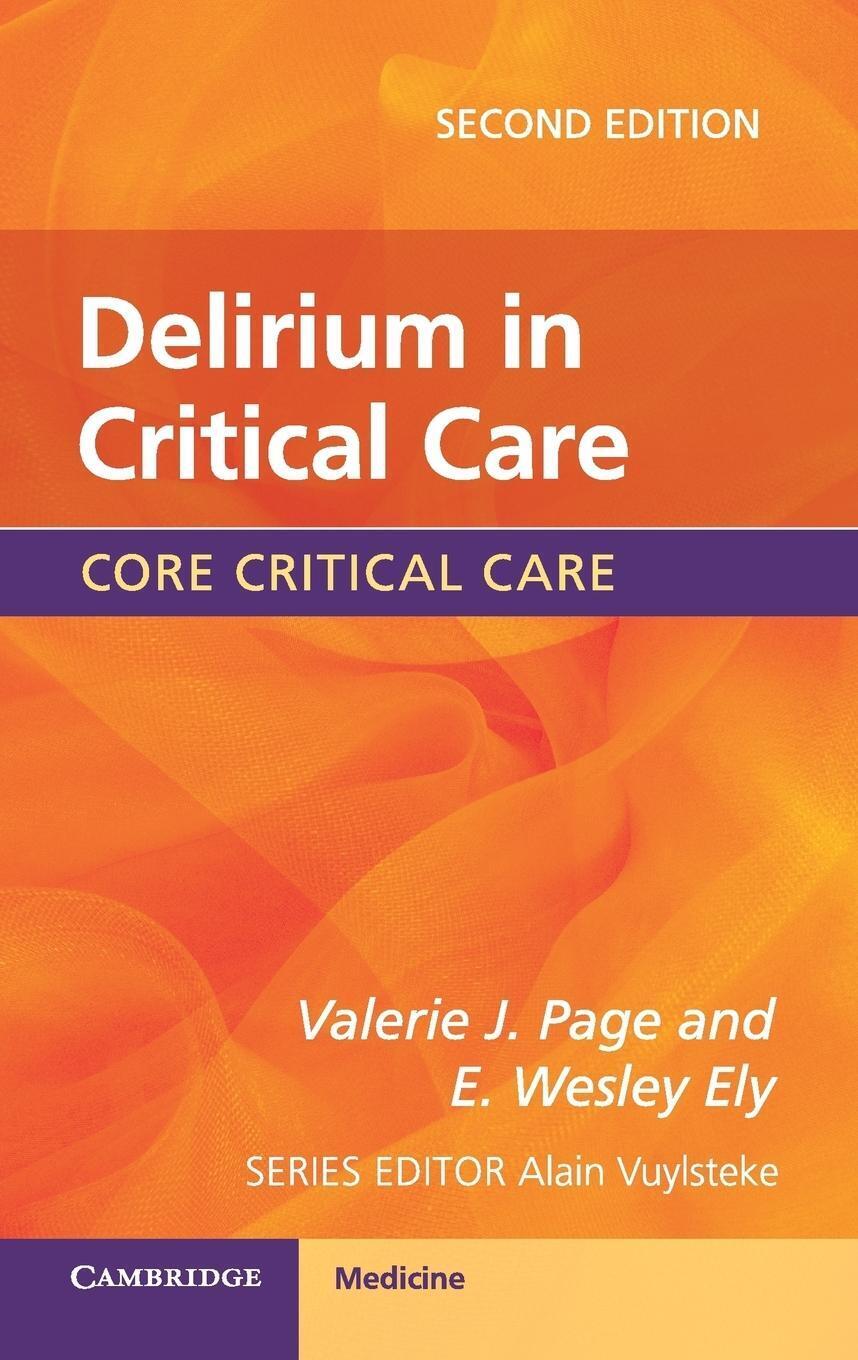 Thumbnail - Delirium In Critical Care | Valerie J. Page (u. A.) | Taschenbuch |