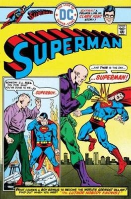 Superman vs. Lex Luthor Paperback