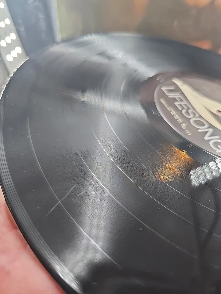 Jim Croce Time In A Bottle Greatest Love Songs LP Lifesong LS-6007 VG+/VG+ - Image 4 of 4