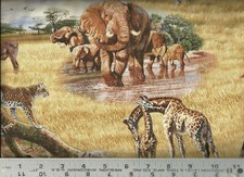 Elizabeth's Studio Safari Animals Zebra Giraffe 100 Cotton Quilt Fabric BTY