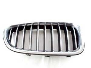 51137336478 Verkleidung Gitter Niere Stoßstange Vorne Rechte Seite BMW Serie 5 5