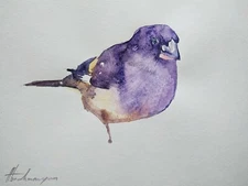 Junco, Birds, Watercolor artwork, Handmade, Original painting on paper