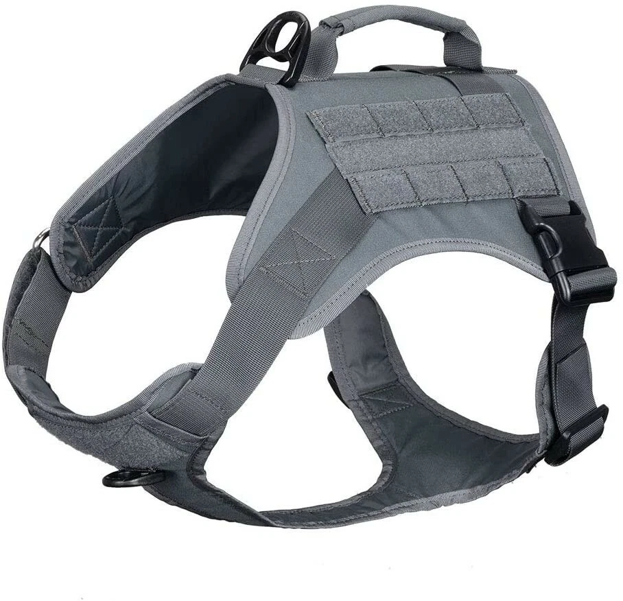 Excellent elite spanker clearance backpack