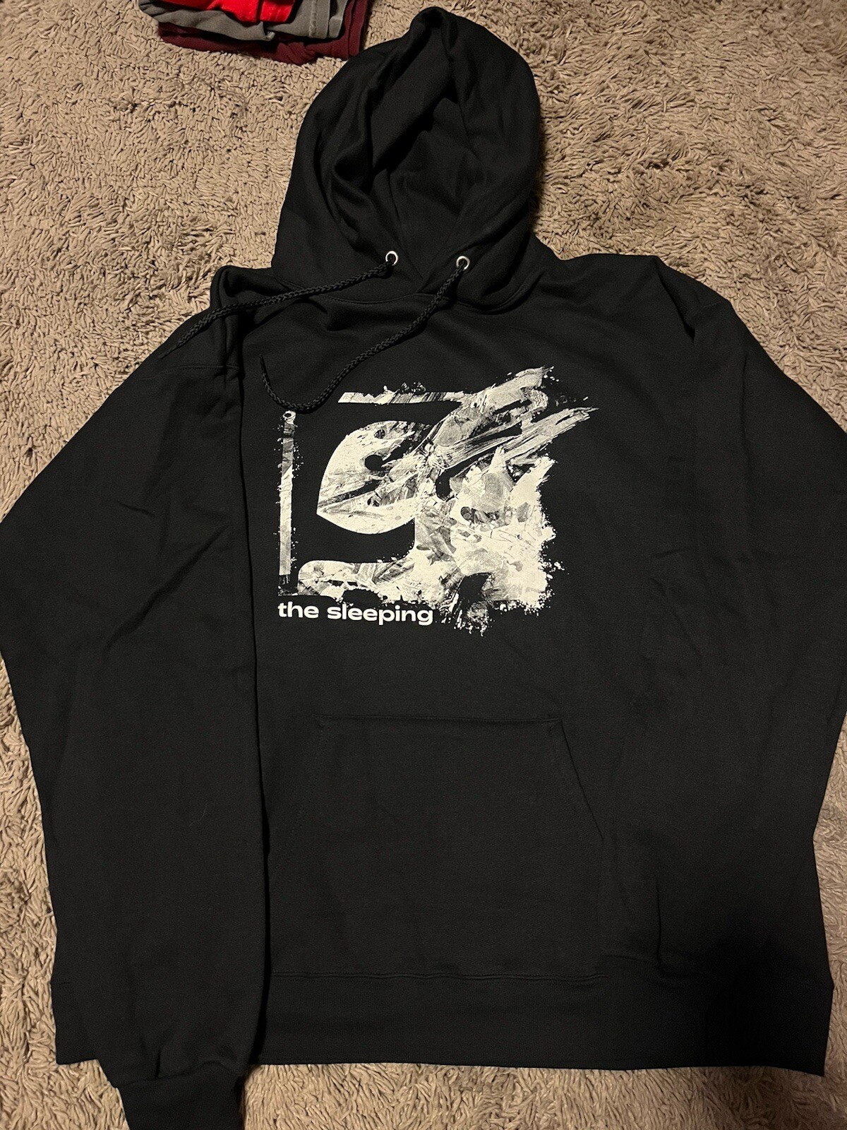 THE SLEEPING hoodie taking back sunday glassjaw bayside converge