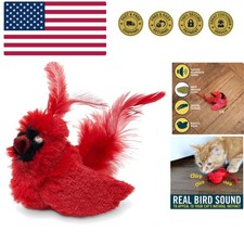 Interactive Bird Sound Cat Toy with Catnip: Exciting Indoor Play for Cats