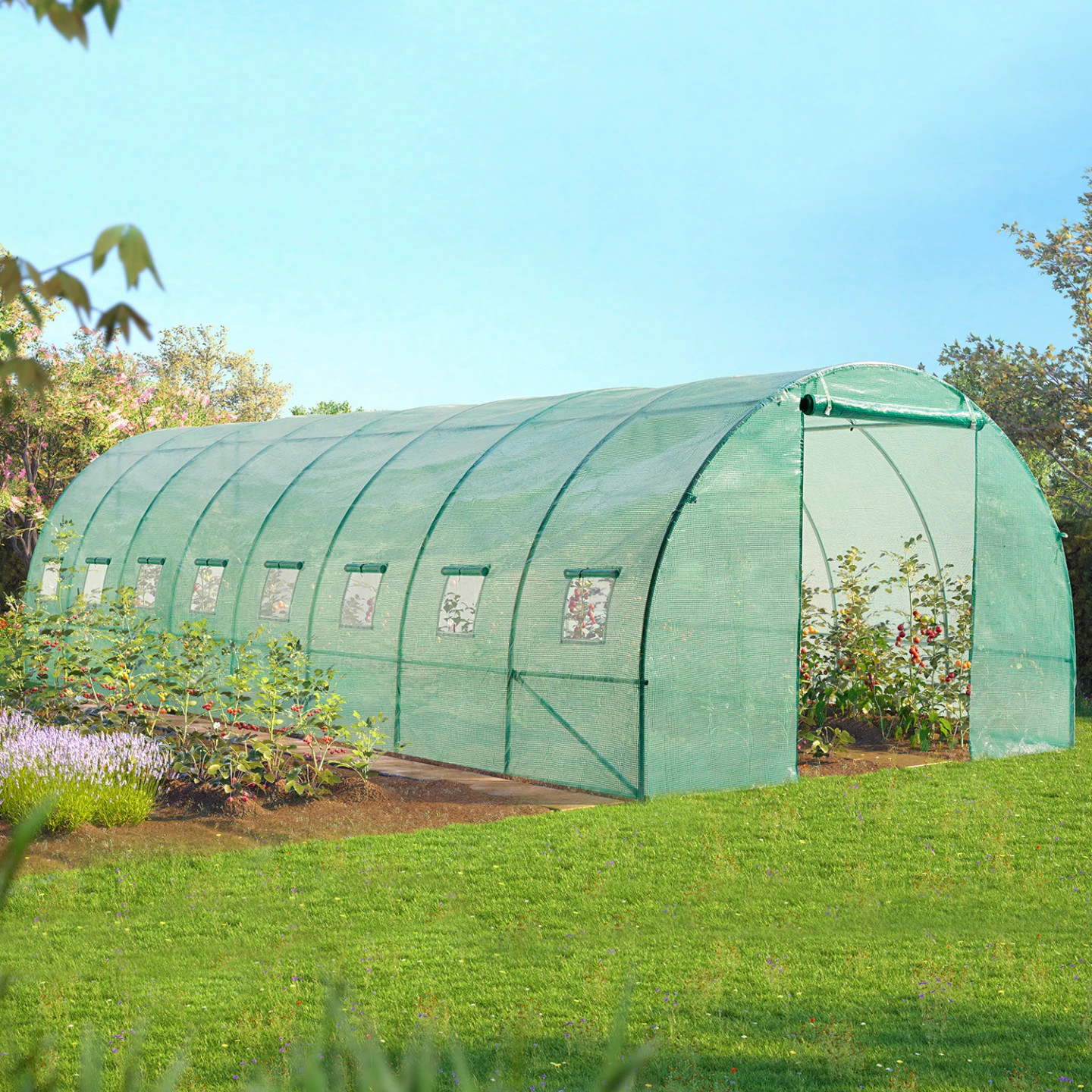 Serre tunnel maraîchère de 8x3M pour cultiver vos propres légumes bio