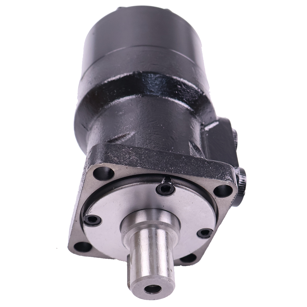 NEW Hydraulic Swing Motor BM2-CJT-250 Replaces for Mini Excavator