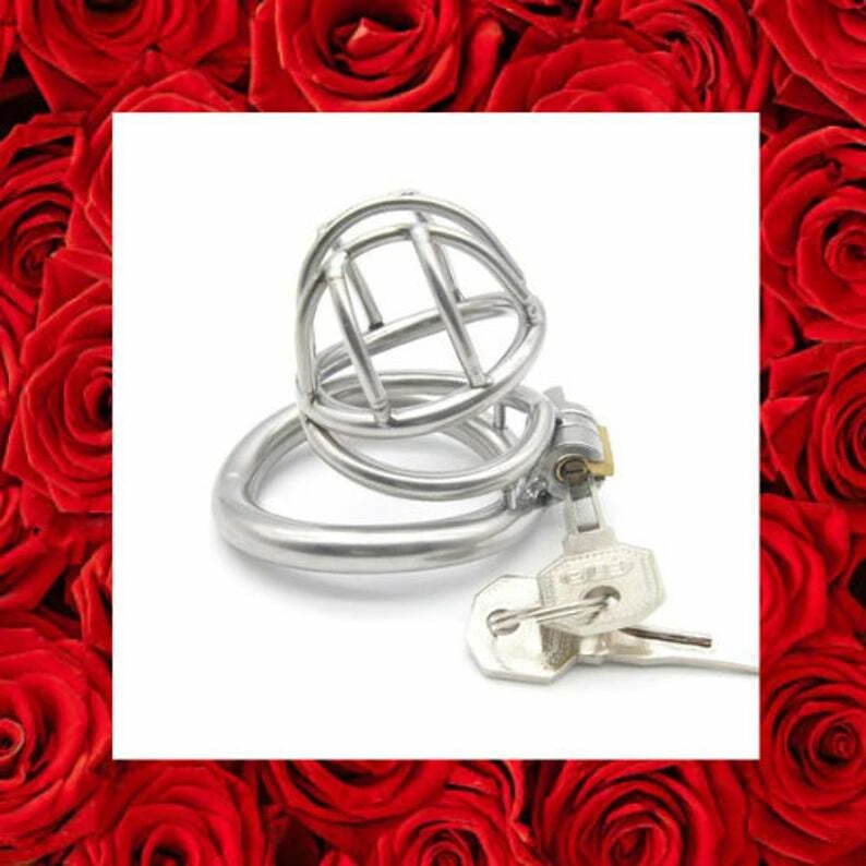 Dispositivo de castidad para hombres Jaula de castidad de acero inoxidable Bloqueo de anillo Cerradura de pájaro de metal Foto 2 de 4