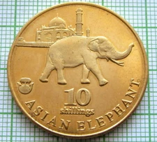BIAFRA 2017 10 SHILLINGS - ASIAN ELEPHANT, UNUSUAL COINAGE Brass