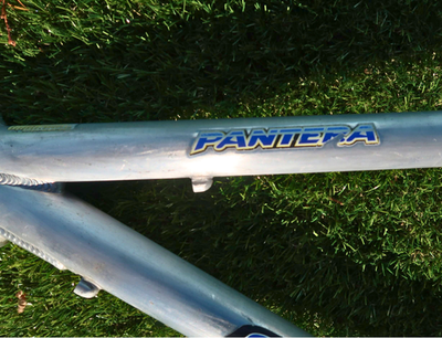 Vintage GT Pantera 15