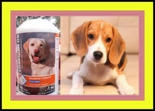 Cosequin DS Plus MSM Joint Health Supplement 180 Chewable Tabs-JUST ARRIVED