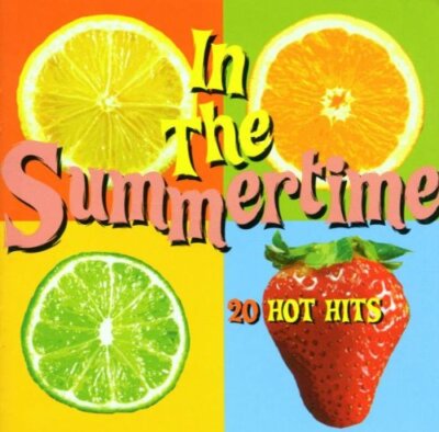 In The Summertime: 20 HOT HITS CD (2000) Highly Rated eBay Seller Great Prices